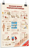 Постер «Оказание первой мед. помощи»